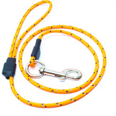 Sporting Saint Field Trial Pro Clip Lead